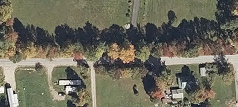 Cannabis Grow Facility