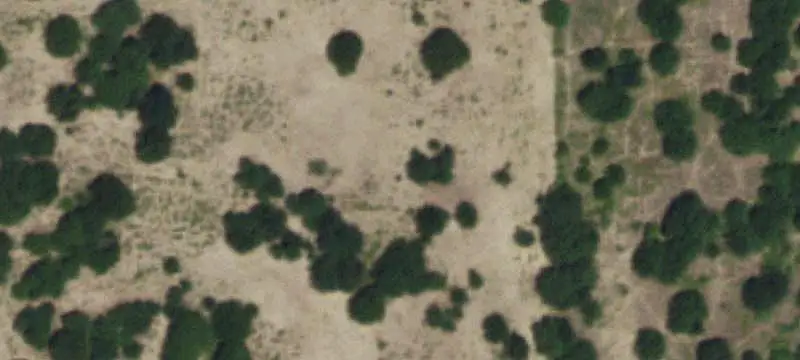 Unrestricted Agricultural Land with Pecan Trees
