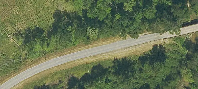 Pine Timber Hunting Land