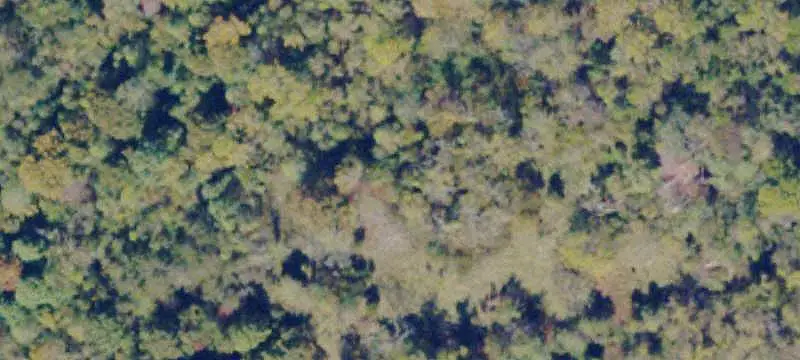 Unimproved Land
