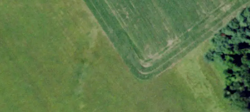 Agricultural Land with Meadows