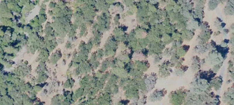 Land/Lot