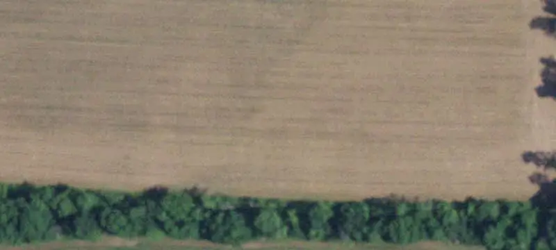 Hunting Land with Barn