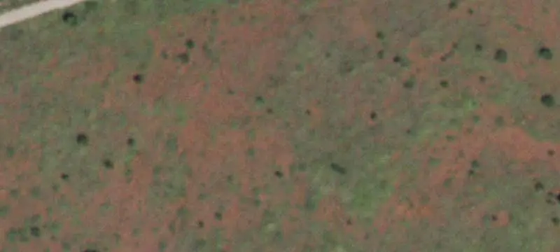 Land