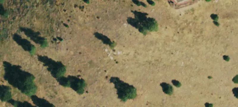 Office Unit with Natural Light