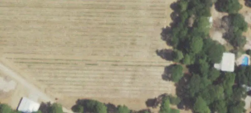 Ranch Property with Vineyard