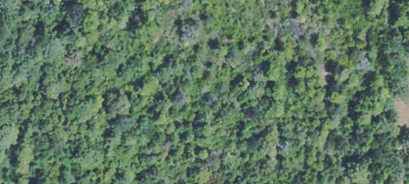 Commercial Land with Pond