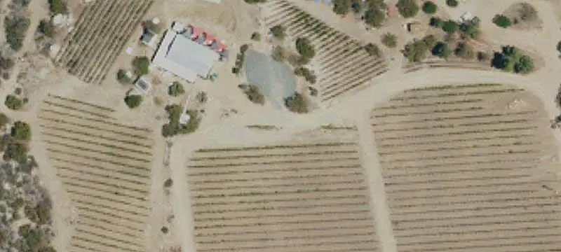 Established Vineyard and Winery