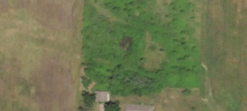 Tillable Farm with Timber