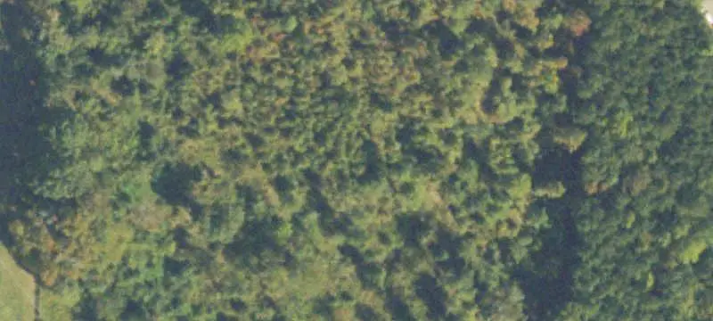Unimproved Land