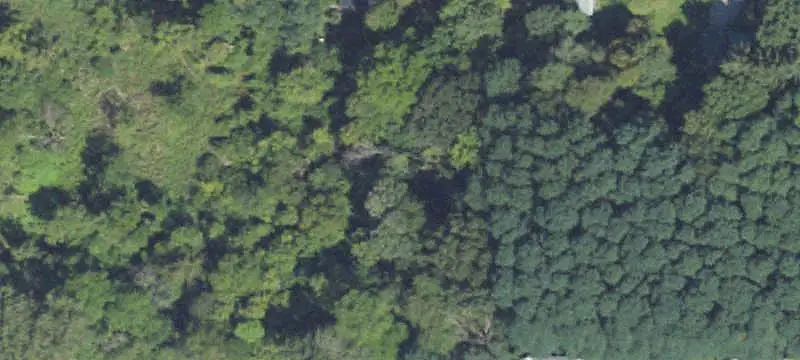Land / Lot