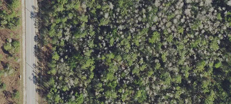 Vacant Land / Lots