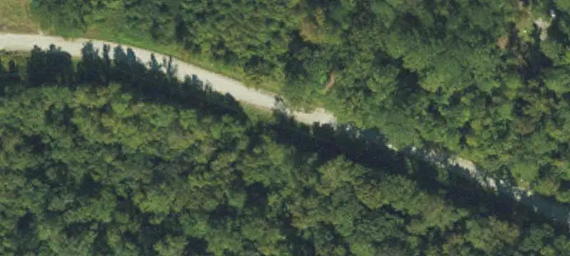 Wooded Unrestricted Land