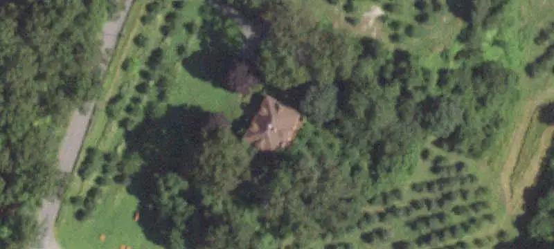 Working Orchard Farm