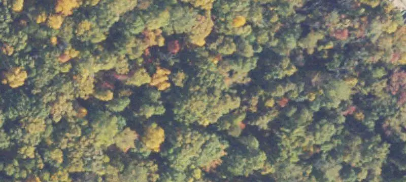 Land Parcel