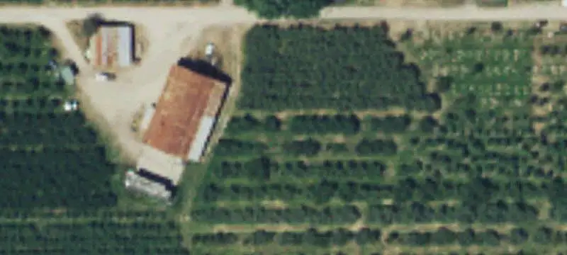 Organic Orchard Farm with Improvements