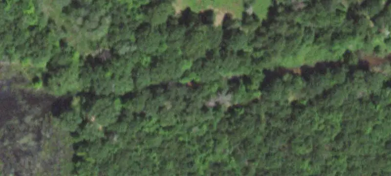 Wooded Recreation Land