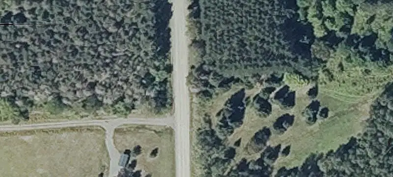 Wooded Hunting Land