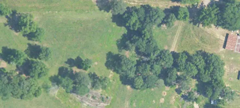 Land