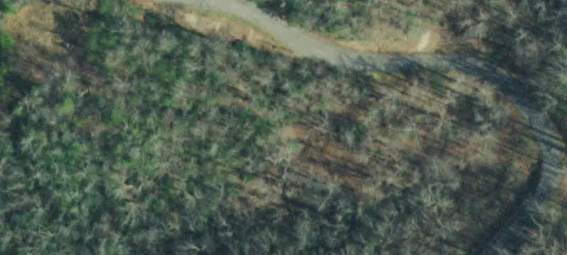 Unimproved Land