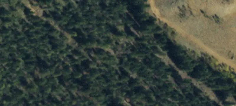 Treed Mountain Land Parcel