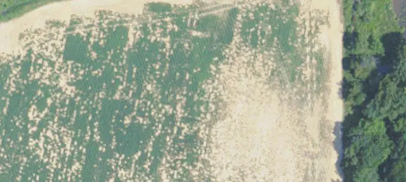 Unimproved Land