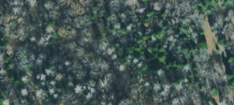 Agricultural Land with Creek