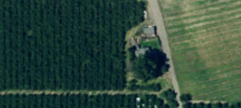 Irrigated Agricultural Land