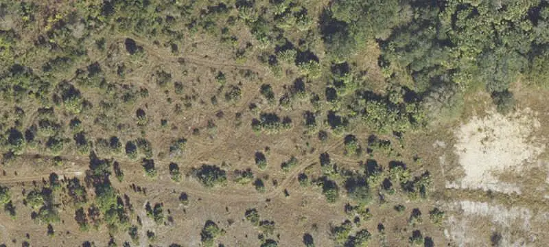 19619 Northwest 242nd Street, Okeechobee, FL 34972