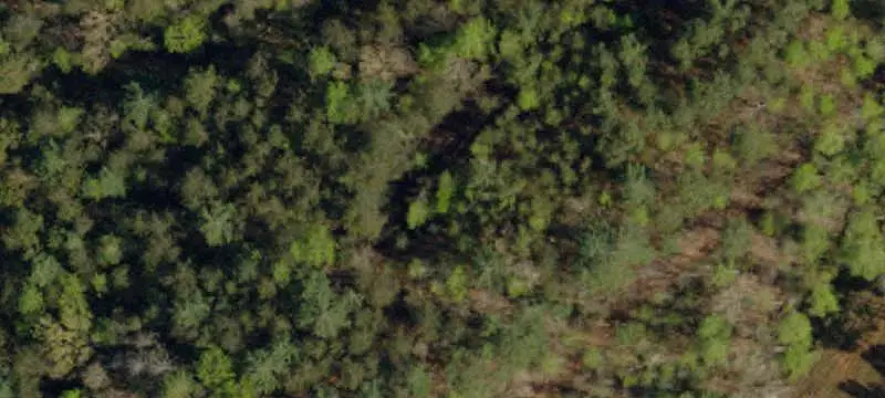 Unimproved Land