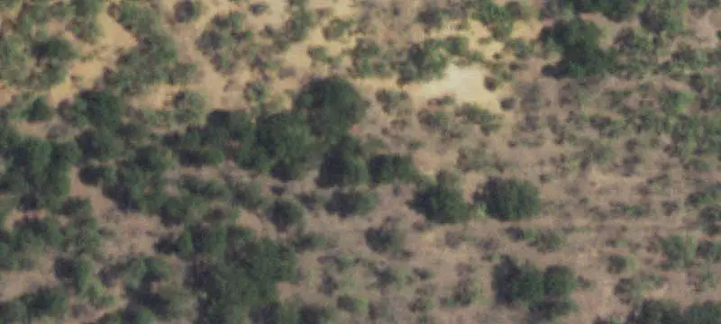 Ranch with Residence