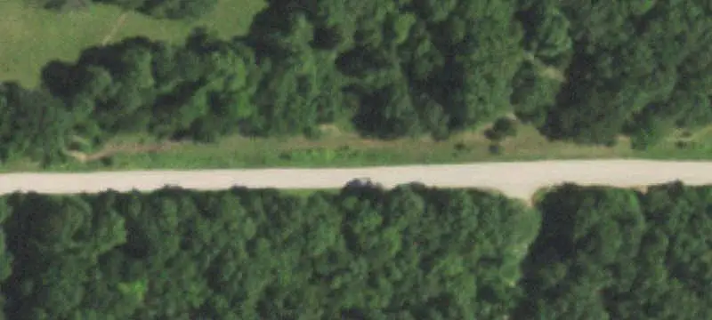 Diversified Farm with Timber