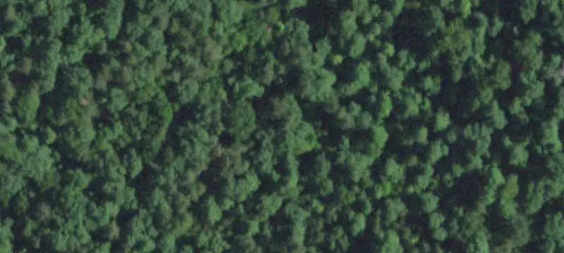 Hunting Land with Log Cabin