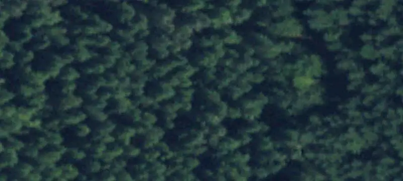 Wooded Land Parcels