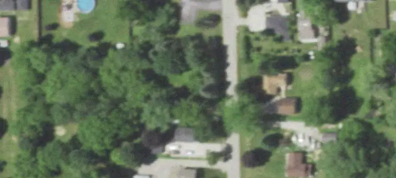 Single-Family