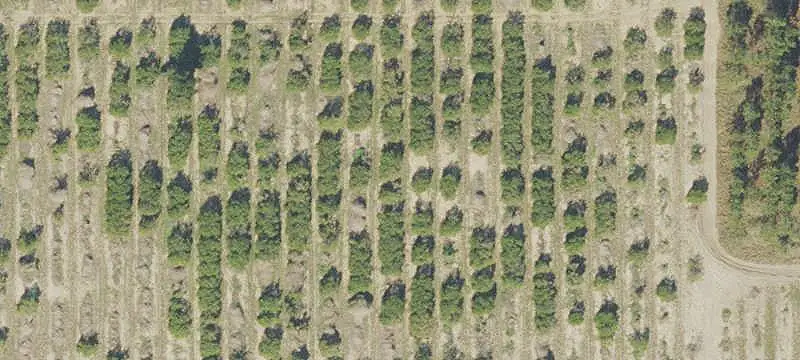 Industrial Land with Interstate Access