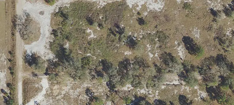 Land