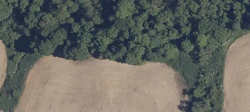 Working Farm with Stocked Pond