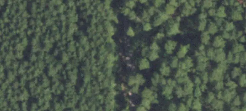 Farm and Ranch Properties