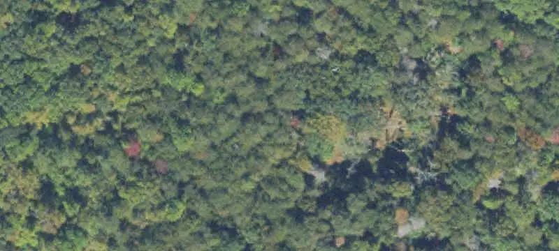 Vacant Land