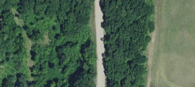 Wooded Hunting Land With Structures