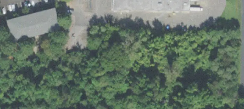 Wooded Commercial Land