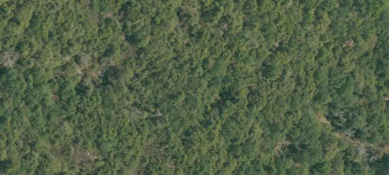 Lots/Land