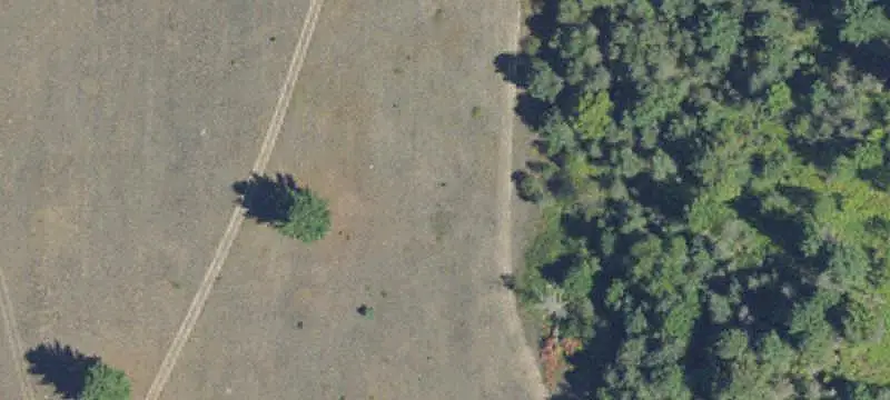Cannabis Cultivation Land