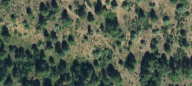 Land/Lot