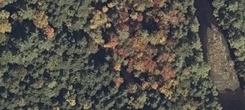 Wooded Hunting Land