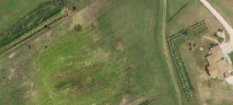 Bull Ridge Farms Agricultural Property