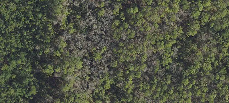 Highway-Frontage Commercial Land