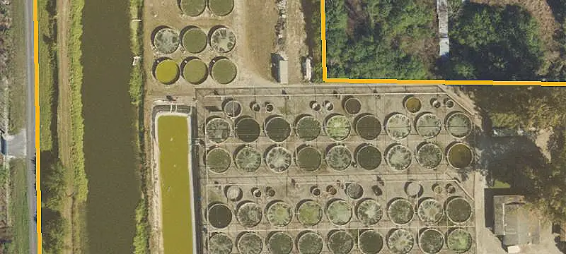 Operational Tilapia Farm