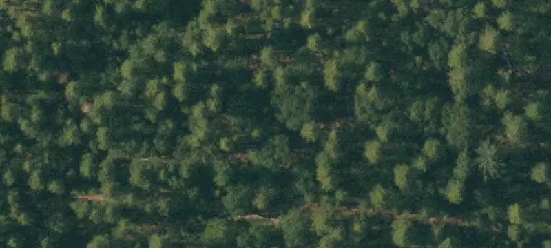 Commercial Land with Ridge Setting